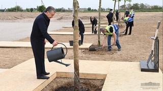 Заложен новый парк