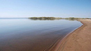 На пути формирования общественного экосознания