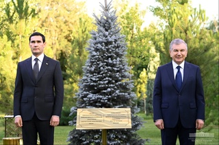 The President of Turkmenistan plants a tree on the Alley of Honored Guests