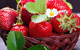 Диетологи рассказали о полезных свойствах клубники для организма