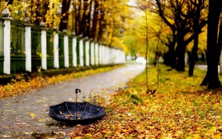 Прогноз погоды на 5 декабря