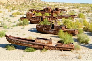 USAID расширяет проект по восстановлению экосистемы на осушенном дне Арала, выделив Узбекистану 1,6 млн долларов