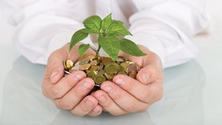 Tomorqa yer egalarini kasanachilik bilan band qilgan tadbirkorlarga subsidiya beriladi