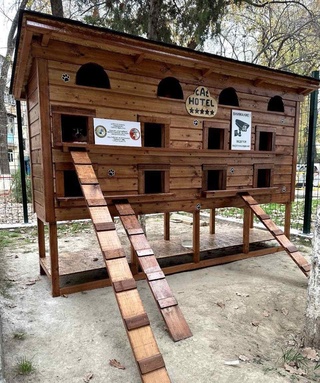 Тошкентда мушуклар учун меҳмонхона ташкил этилди