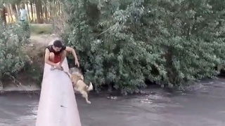 Samarqandda ko‘ngilxo‘shlik uchun itni suvga uloqtirishdi