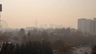 Тошкентда шамол тезлиги кучайиб, айрим жойларда чанг-тўзон кузатилиши мумкин
