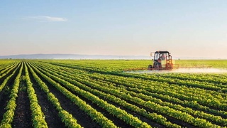 Новые грани сотрудничества в аграрном секторе