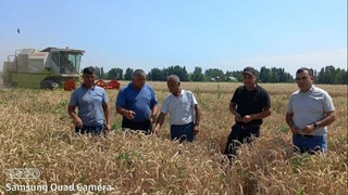 Агрокластер ғаллакорлари зафар қучдилар