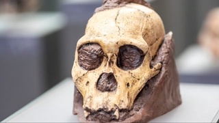 Хитойда қадимги одам қолдиқлари топилди