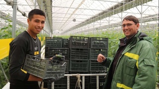 «Agro Export Baraka» МЧЖ Россияга бодринг экспортини бошлади