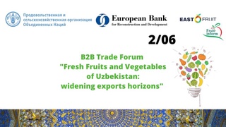 12 крупнейших экспортеров фруктов и овощей Узбекистана уже подтвердили участие в В2В форуме