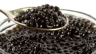 The Italian company “Salmopan-Adamas Caviar” presents the fish potential of the Khorezm region