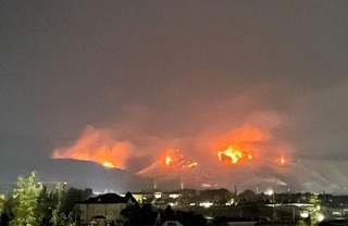 Бўстонлиқ: ўрмон хўжалигига қарашли ҳудудда ёнғин чиқди