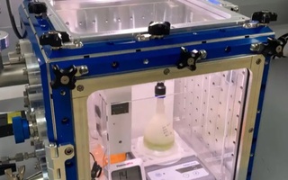 Учёные вырастили водоросли в условиях Марса