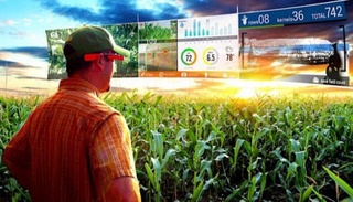 В сферу сельского хозяйства Узбекистана будут внедряться современные технологии