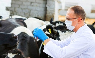 Ветеринария хизматларини хусусийлаштириш керакми?