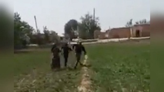 Ота-она вояга етмаган қизини калтаклаган: ҳодиса бўйича расмий муносабат билдирилди