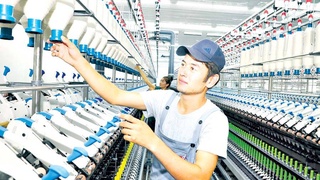 Экономическая устойчивость требует большой ответственности и самоотверженности