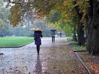 Өзбекстанға суўық түседи: жаўын-шашын ҳәм аяз болыўы күтилмекте