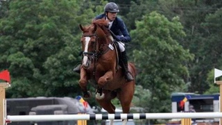 Конный спорт: перед поездкой в Лас-Вегас