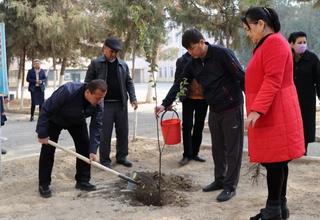 “Яшил макон” лойиҳаси — амалда
