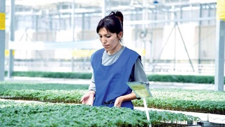 Решая проблему, предлагаем новые возможности