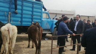 В Папском районе реализуется программа "Каждая семья- предприниматель"