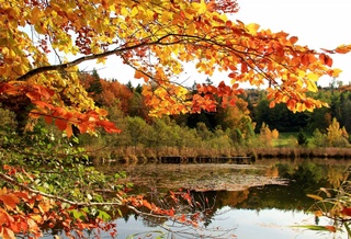 Прогноз погоды на 29 сентября