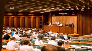 Крупнейший меховой аукцион закроется из-за истребления Данией норок