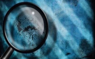 Причины совершения преступлений будут анализироваться