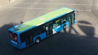 Экспресс автобусларининг том қисми нега бўялмаган?