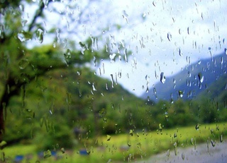 12 июнь кунги об-ҳаво маълумотлари эълон қилинди