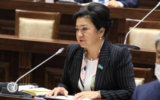 На заседании рассмотрен еще один Закон, гарантирующий права женщин