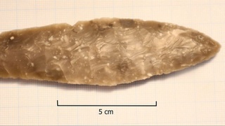 Norvegiyada maktab o'quvchisi neolit davriga oid xanjar topib oldi