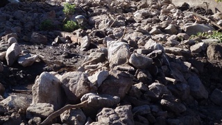 Gruziyadagi ko'chki: qurbonlar soni yetti nafarga yetdi