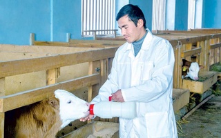 Перспективные проекты и инициативы - залог эффективного развития животноводства