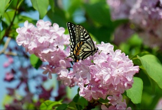 Прогноз погоды на 19 апреля