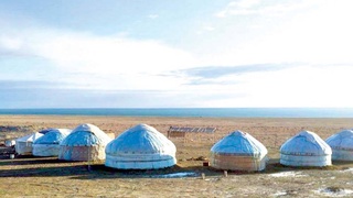 Муйнак создает свой бренд