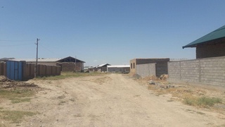 Ювиниш нималиги билмасдан  катта бўлаётган болалар