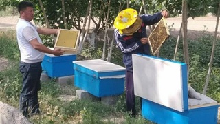 Агрокластердің жаңа омарташылық тармағы