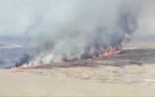 Каспий қирғоғида катта ёнғин: 10 гектар қамиш ёнмоқда