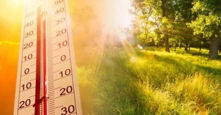 The week will be hot: the air temperature in Uzbekistan will rise to +42 degrees