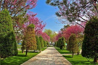 Weather forecast for April 8th