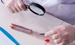 Kriminologiya tadqiqot instituti tashkil etildi