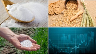 На Узбекской республиканской товарно-сырьевой бирже снизились цены на сахар, пшеницу и карбамид