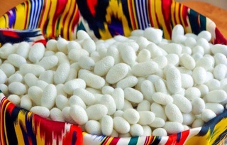 Ипакчилик ва жун саноатини ривожлантириш қўмитаси тугатилади