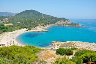 Qum va chig‘anoq o‘g‘rilari jarima to‘laydi