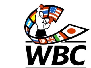 Ўзбекистон профессионал бокс федерацияси Бутунжаҳон бокс уюшмасига қабул қилинди