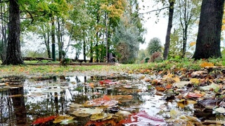 Пешгӯии обу ҳаво барои 9 ноябр