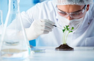 В Узбекистане утверждены паспорта некоторых разрешительных документов